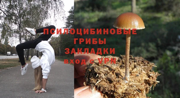 mix Алексин