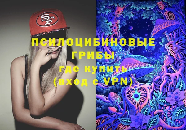 гидропоника Алзамай
