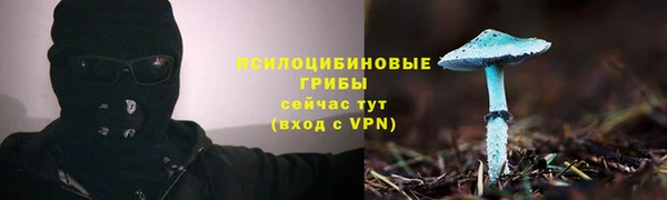 дурь Алексеевка