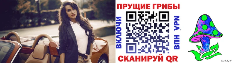 Псилоцибиновые грибы Cubensis Ухта