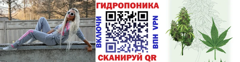 купить закладку Ухта Шишки марихуана планчик